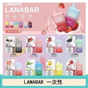 LANA BAR可充电一次性電子煙霧化5000口(3.0%)